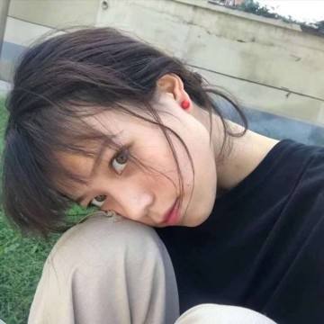 宠物小精灵3ds手机版下载